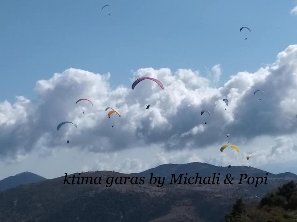 Ktima Garas Apartamento Paralia Panteleimonos Exterior foto