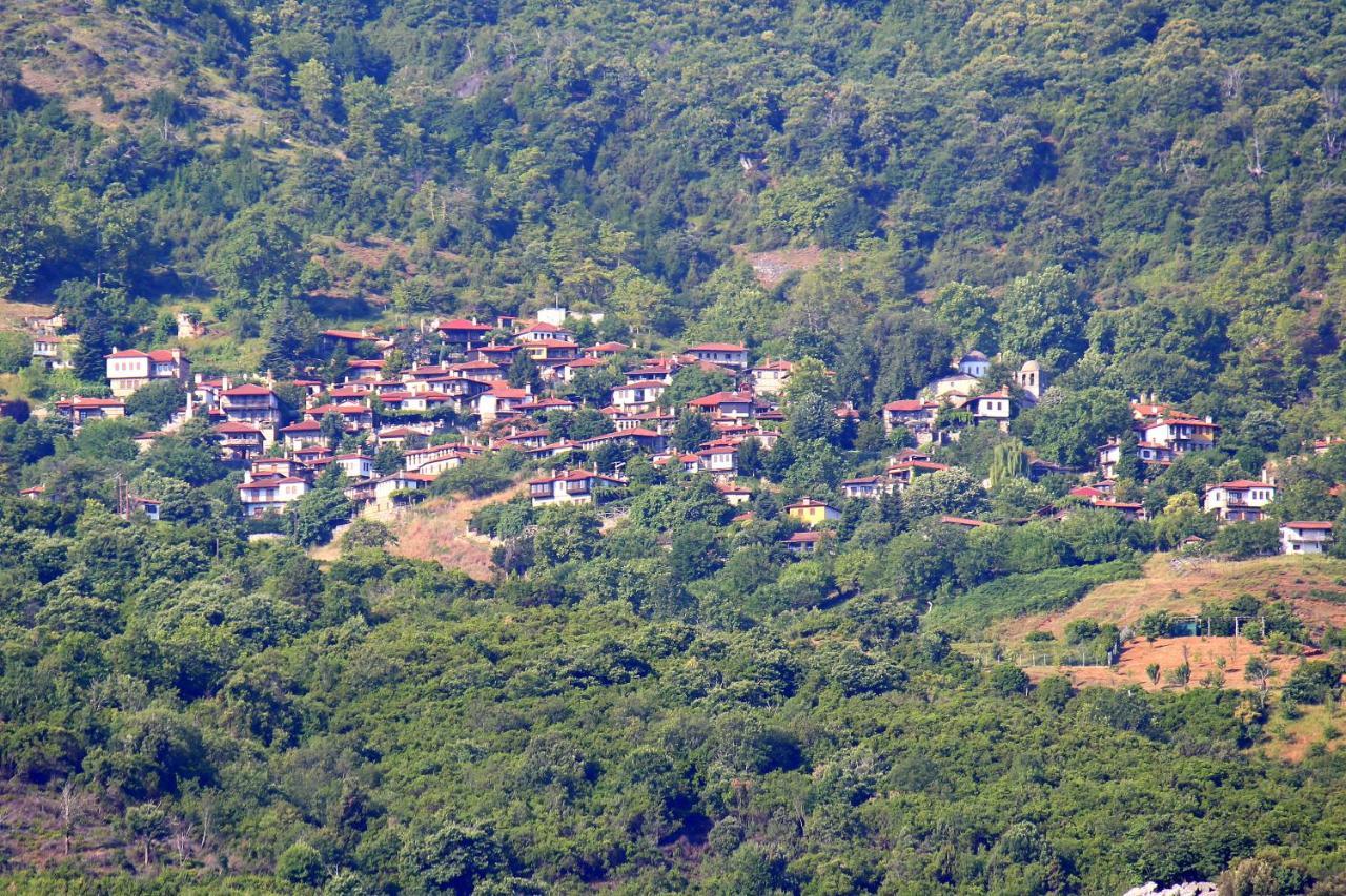 Ktima Garas Apartamento Paralia Panteleimonos Exterior foto
